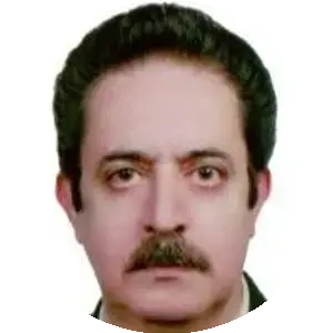 شاهین کبیری