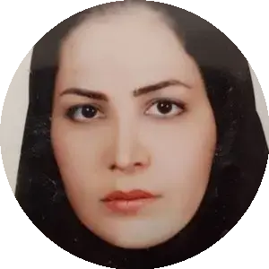 آرام بیرانوندی