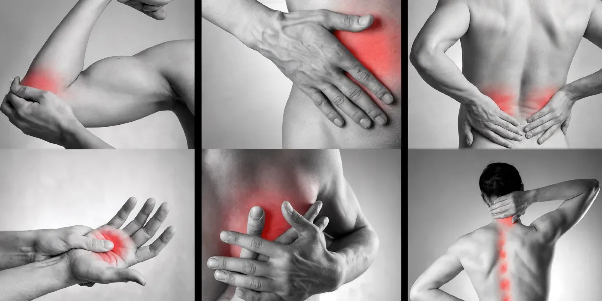 نوبت دهی آنلاین برترین پزشکان مفصلی و عضلانی