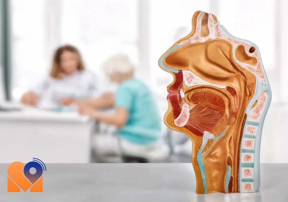 بهترین دکتر جراحی بینی و سینوس (رینولوژی)