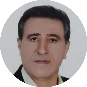 سید عزیز چابکی 